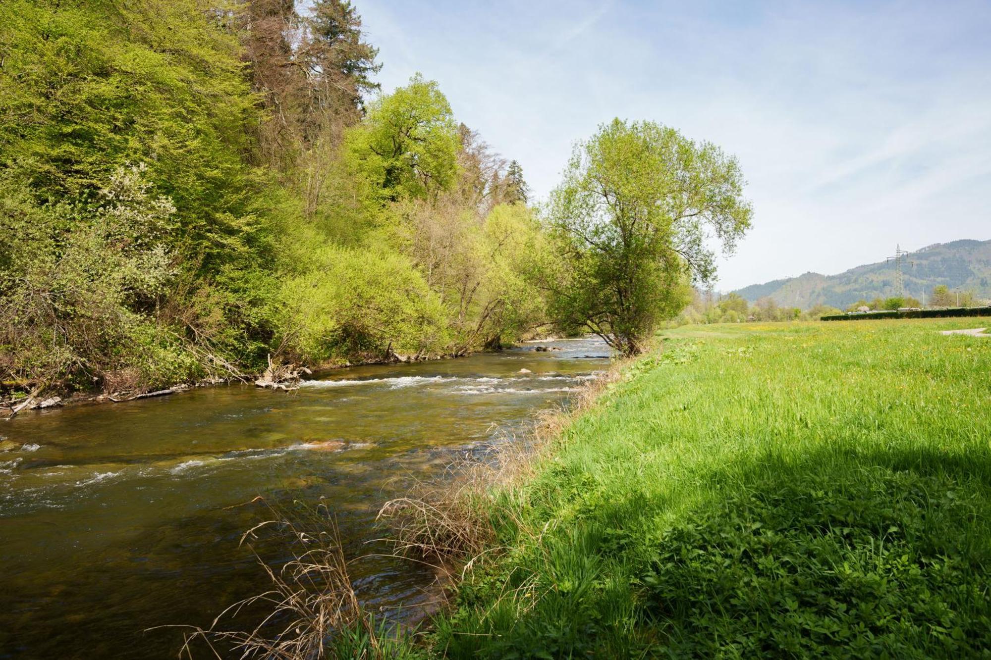 Ferienwohnung Alte Scheune Schopfheim Esterno foto